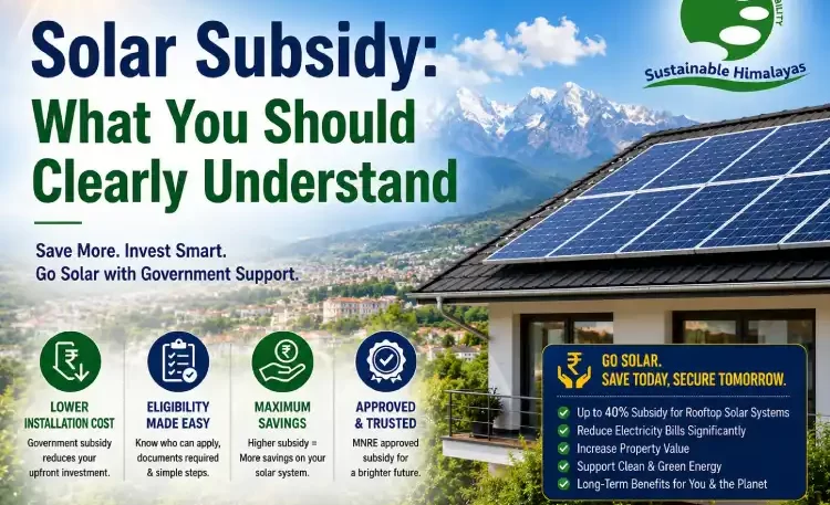 Solar Subsidy